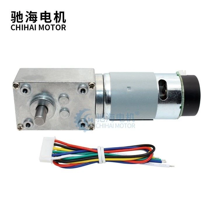 High Torque DC24V 20RPM 40kg.cm Worm Gear DC 555 Encoder Motor